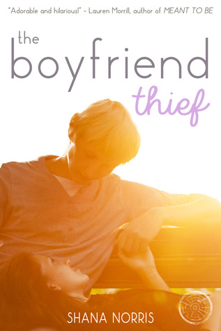 The Boyfriend Thief (Stolen Kisses #1)